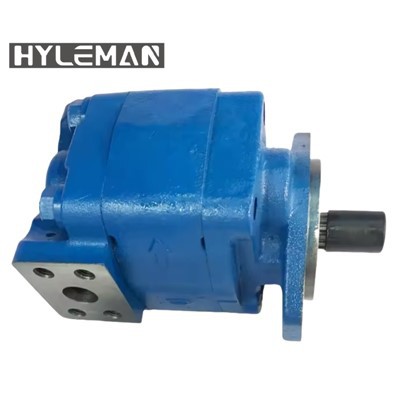 P315 חלקי ערכות לתיקון משאבת ציוד תותב